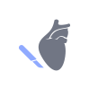 icon of Thoracic & Cardiovascular Sugery